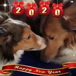 Meet your Posher, Paula